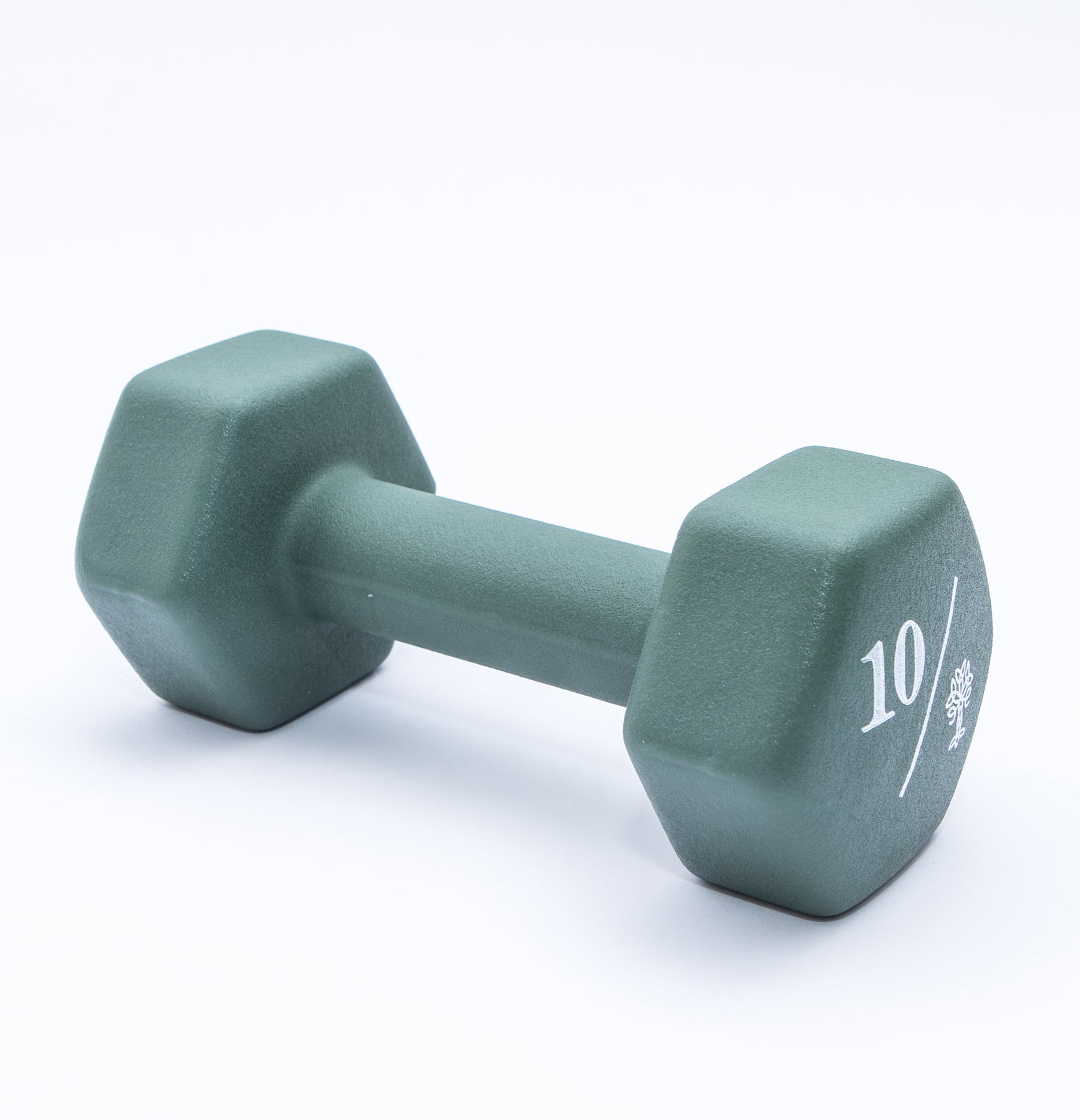 Hex Dumbbells