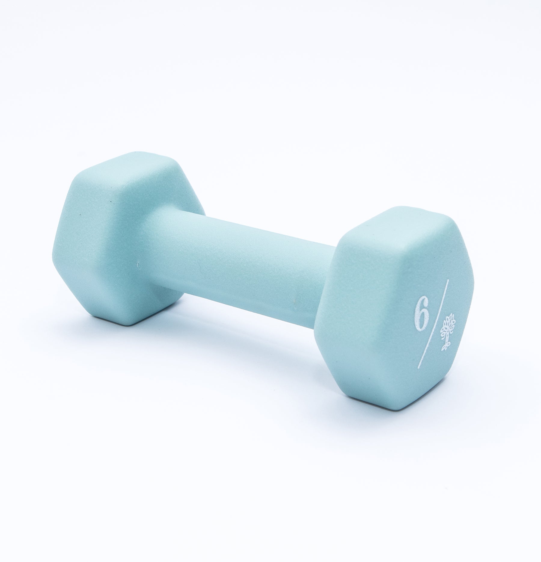 Hex Dumbbells