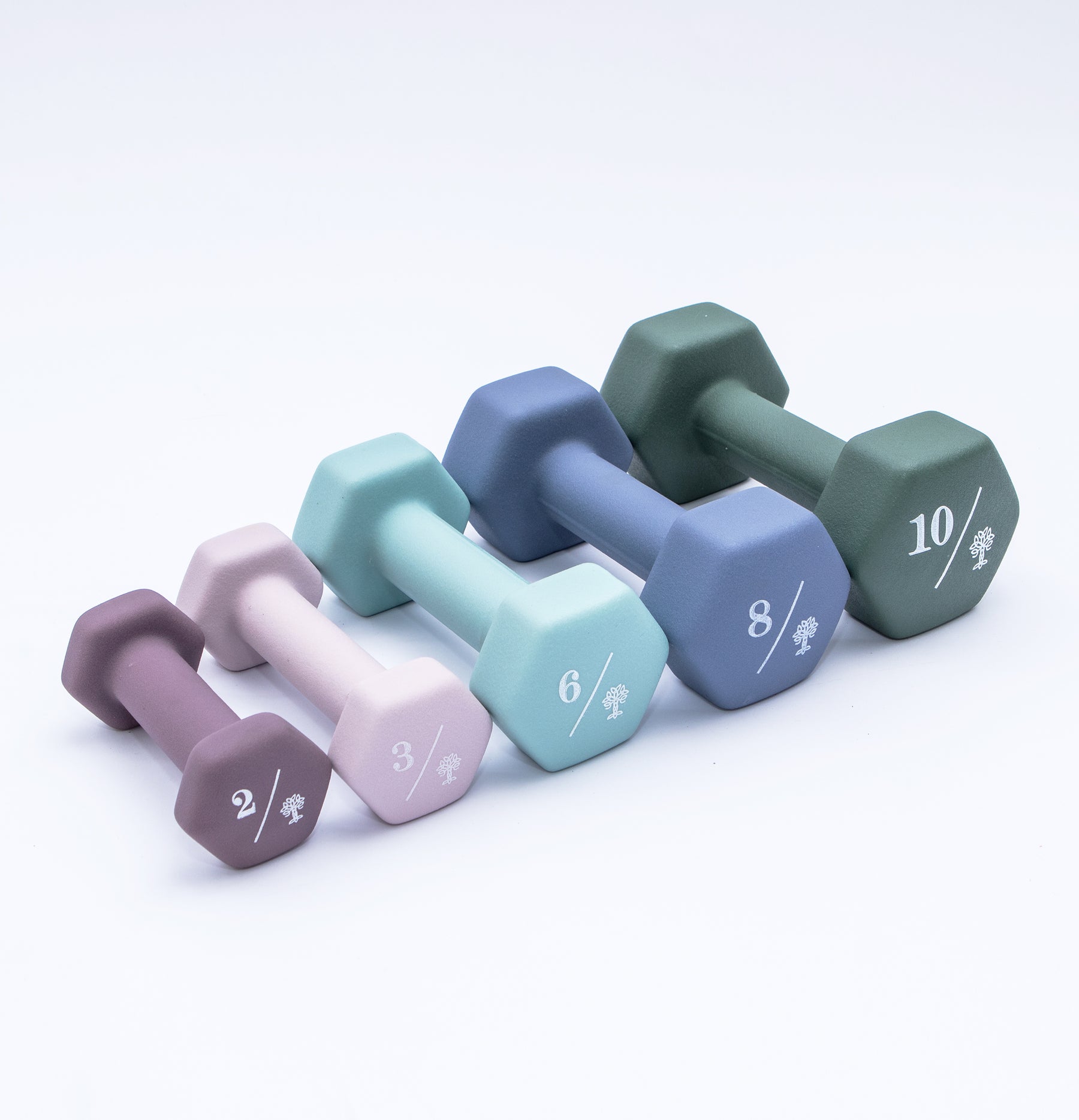 Hex Dumbbells