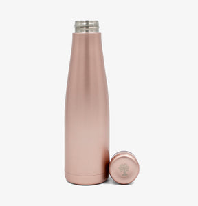 Stainless Steel Luna Bottle
